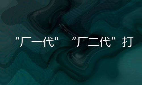 “厂一代”“厂二代”打破内卷勇闯全球，SHEIN们保驾护航