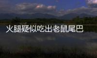 火腿疑似吃出老鼠尾巴 生产方发声明：未检出鼠源性成分