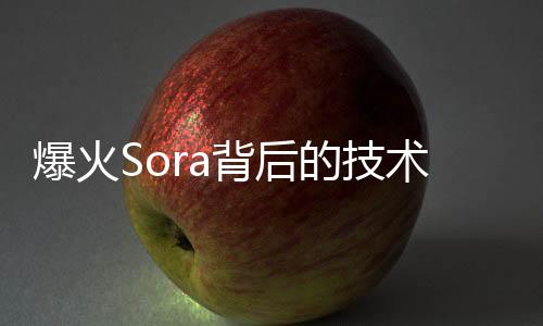 爆火Sora背后的技术，一文综述扩散模型的发展方向