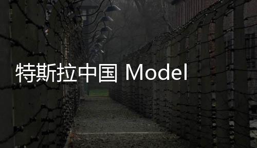 特斯拉中国 Model Y 全系涨价 5000 元 售价 263900 元起