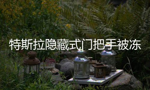 特斯拉隐藏式门把手被冻上：一张纸巾就能解决难题