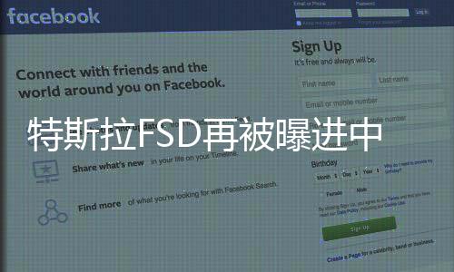 特斯拉FSD再被曝进中国 消息称上海正推动落地试点：官方辟谣