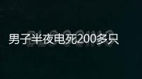 男子半夜电死200多只蚊子：不解气 放蚊子进来打