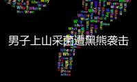 男子上山采菌遭黑熊袭击：狂奔5公里脱险 鼻子被咬掉一半