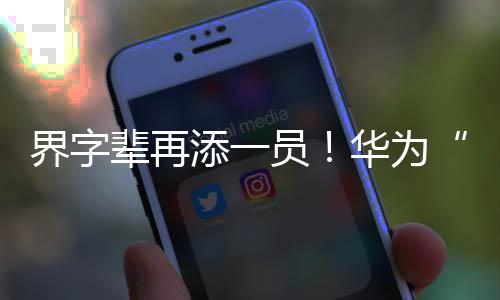 界字辈再添一员！华为“合界”来了：已申请商标