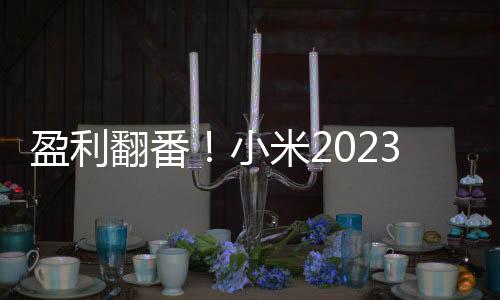 盈利翻番！小米2023财报发布：净利润同比增长126.3%