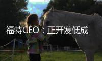 福特CEO：正开发低成本平台抵御特斯拉和中国电动汽车