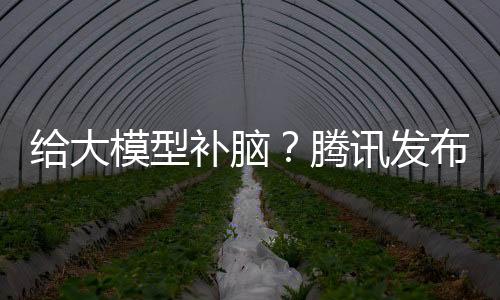 给大模型补脑？腾讯发布ELLA，让SD模型提示词理解能力更强