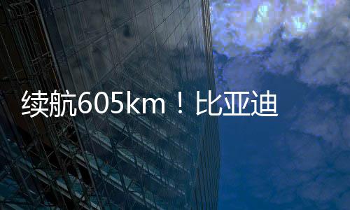 续航605km！比亚迪全新车型海豹x信息曝光