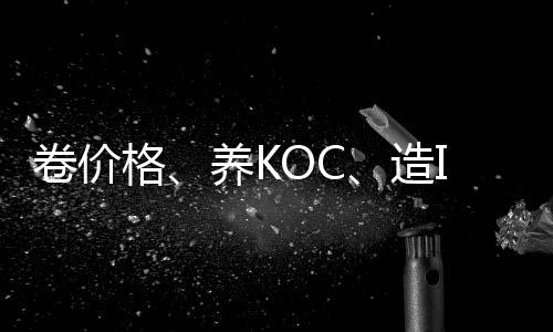 卷价格、养KOC、造IP，消费者是如何被新能源车企拿捏的？