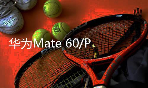 华为Mate 60/Pro推送鸿蒙OS 4.2.0.120系统更新：新增几何/心情派对主题等