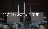 华为Mate之父李小龙喜提问界M9！网友点赞：应该让余承东来交车