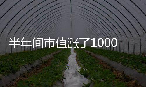 半年间市值涨了1000亿：“小兄弟”携程赶超百度