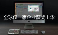 全球仅一家企业获奖！华为获2024年Gartner主存储全球“客户之选”