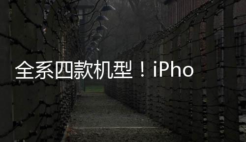 全系四款机型！iPhone 16系列机模曝光：标准版后摄巨变