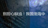 别担心缺油！我国渤海中北部再获亿吨级油田 够百万级人口10年日常交通用