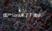 国产Sora来了！清华发布视频生成大模型“视界一粟YiSu”