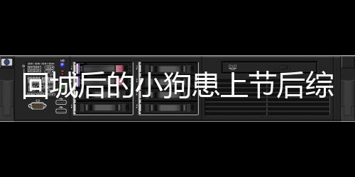 回城后的小狗患上节后综合症：眼神呆滞 过年没玩够