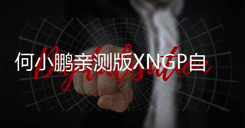 何小鹏亲测版XNGP自动驾驶：无异于真人驾驶 直呼太兴奋