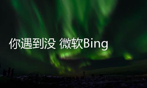 你遇到没 微软Bing搜索不明原因全球宕机！目前仍无法访问