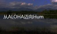 从ALOHA迈向Humanplus，斯坦福开源人形机器人，「高配版人类」上线