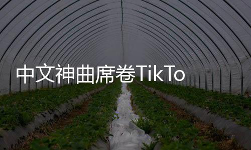 中文神曲席卷TikTok：《今生缘》洗脑数千万老外，播放量破亿