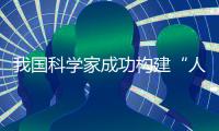 我国科学家成功构建“人工树叶”：可实现太阳能到化学能转化