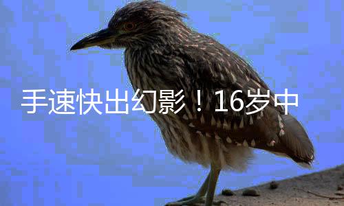 手速快出幻影！16岁中国少年打破华容道世界纪录：0.979秒完成48步