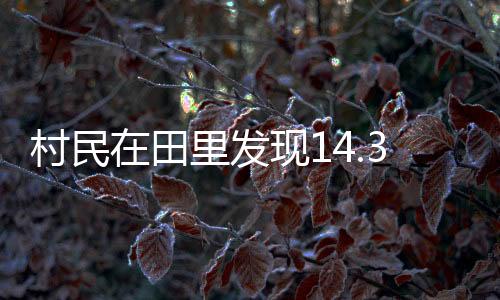 村民在田里发现14.3公斤重大鲵：身体状况良好 已进行放生