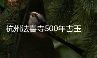 杭州法喜寺500年古玉兰如期绽放：从明代生长至今 皎皎如白玉