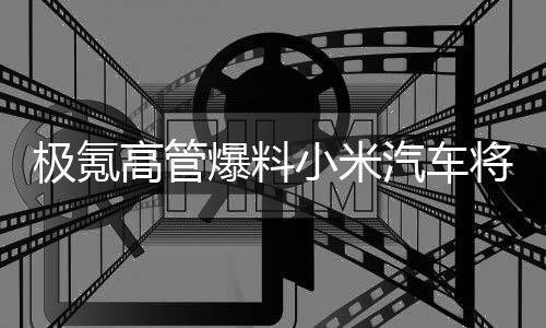 极氪高管爆料小米汽车将在3月28日发布 官方回应：以官方消息为准