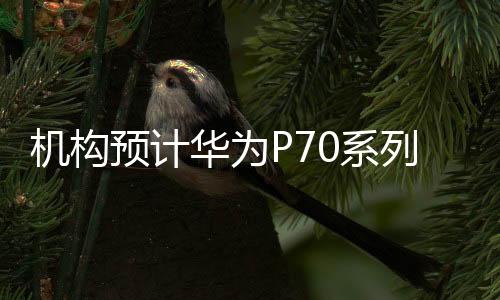 机构预计华为P70系列4月发布：内置自研盘古大模型