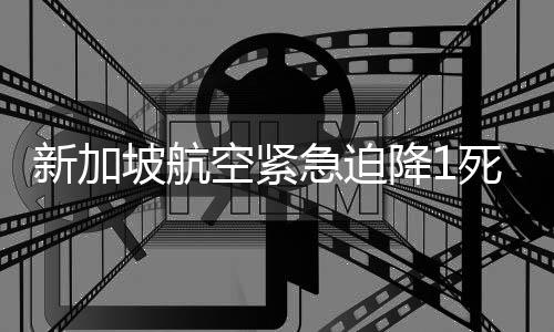 新加坡航空紧急迫降1死30伤事故赔偿方案出炉：受伤赔偿18万元