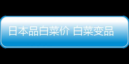 日本品白菜价 白菜变品 网友晒图：切成一半甚至四分之一卖