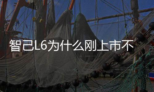 智己L6为什么刚上市不到两周又增加一个配置：官方回应来了