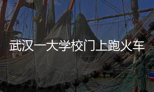 武汉一大学校门上跑火车 校方回应：属实 全国