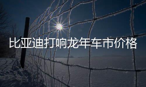 比亚迪打响龙年车市价格战枪 汽车AI应用有哪些？