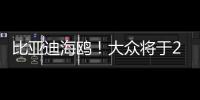 比亚迪海鸥！大众将于2027年推出全新入门级电动车