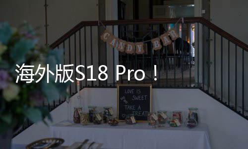 海外版S18 Pro！vivo V30 Pro外观泄露：引入蔡司三摄