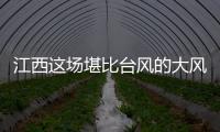 江西这场堪比台风的大风如何形成 专家解释原因