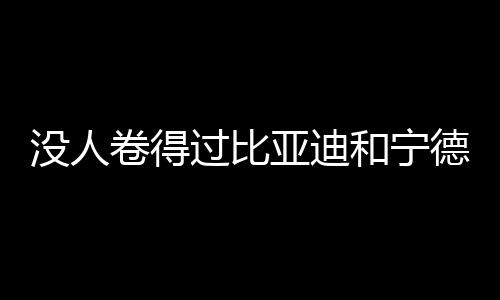 没人卷得过比亚迪和宁德时代！亿纬锂能董事长：我们连内卷资格都没