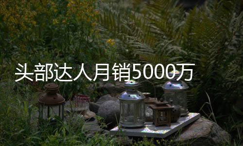 头部达人月销5000万，做电商不如卖团购？