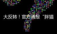 大反转！官方通报“胖猫”事件：姐姐操控舆论 小号曝光女方信息