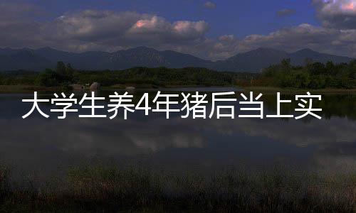 大学生养4年猪后当上实习熊猫饲养员：感谢当时的坚持和努力