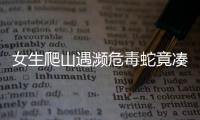 女生爬山遇濒危毒蛇竟凑上前合影 博主：无知 愚昧