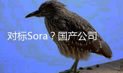 对标Sora？国产公司推文生视频工具Etna 能生成15秒4K视频
