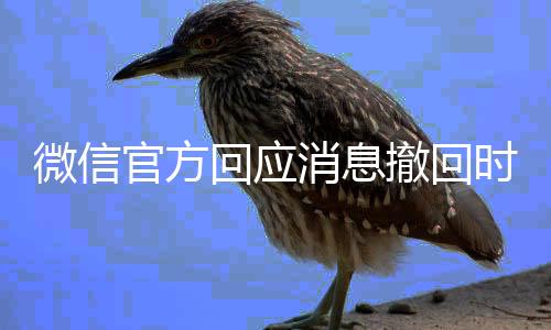 微信官方回应消息撤回时限：常规消息2分钟、文件3小时