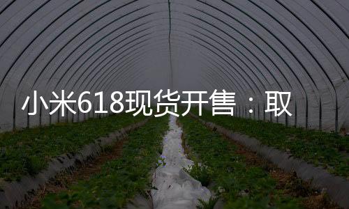 小米618现货开售：取消预售制 手机至高优惠1000元