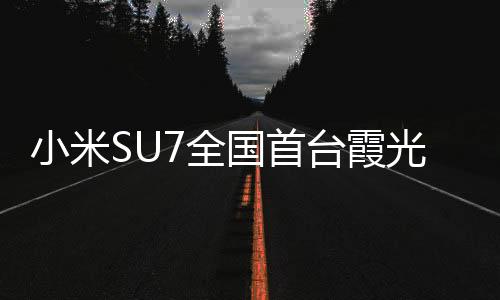 小米SU7全国首台霞光紫女车主喊话雷军：早日进军房地产