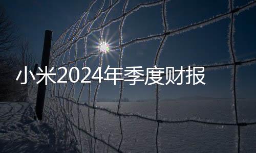 小米2024年季度财报：月活6.5亿创历史新高